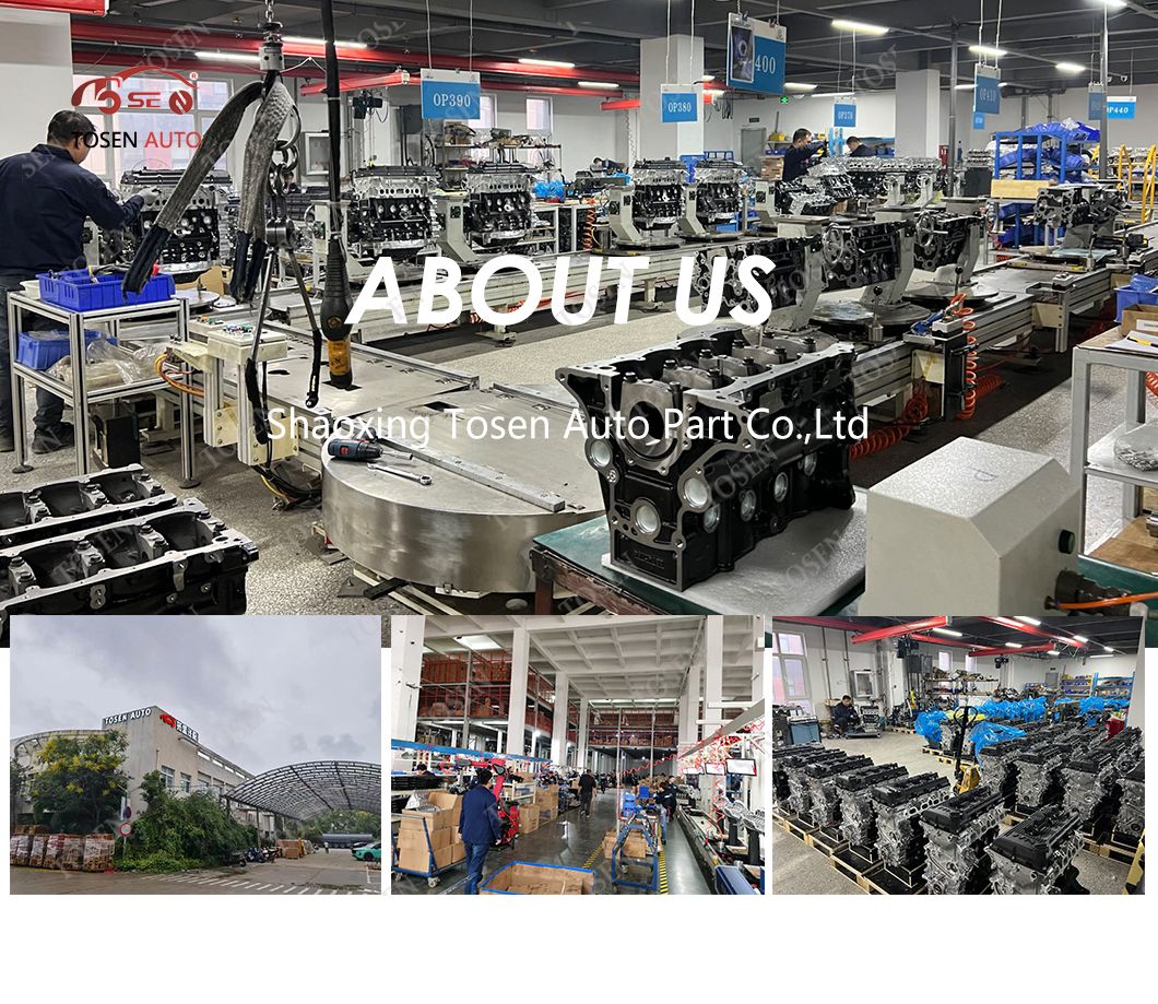 معلومات عنا